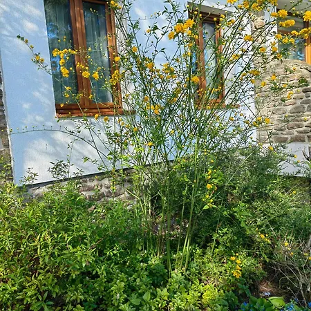 Hanga Appartement