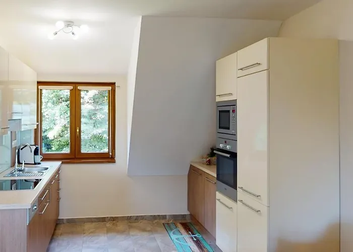 Hanga Vendeghaz 蒂豪尼